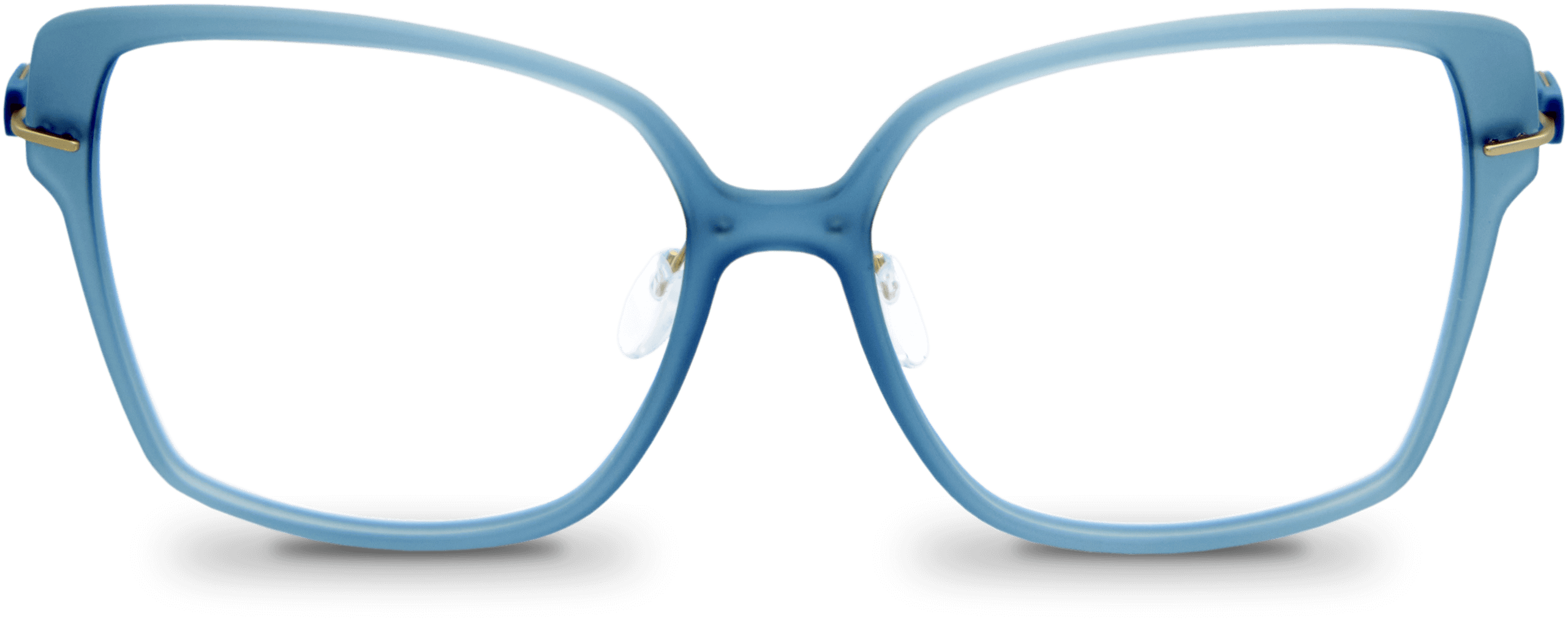 Blaue feminine Brille